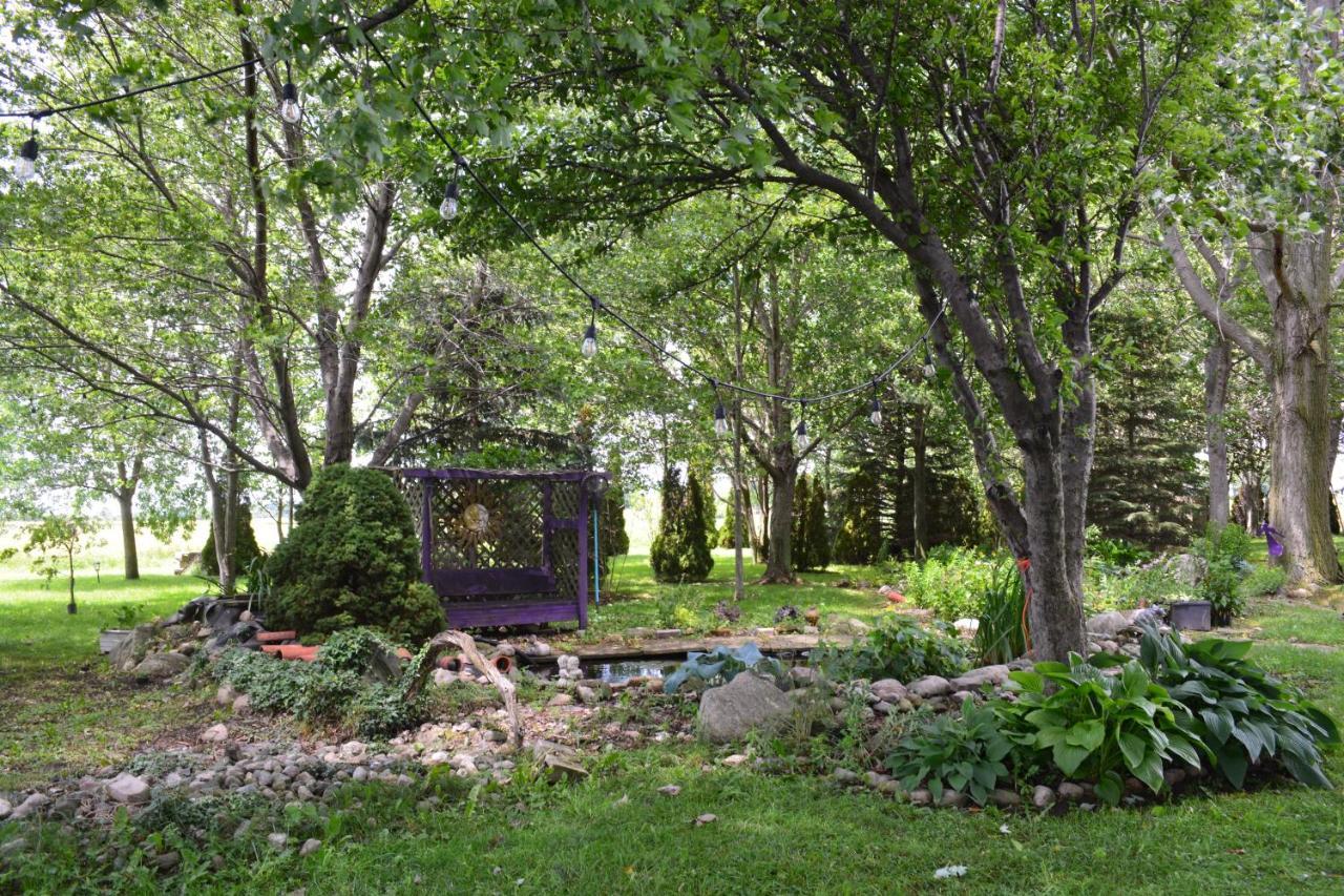 Birds Point Cottage On A Cliff Facing Lake Erie. Wheatley Екстер'єр фото